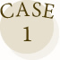 case1