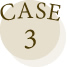 case3